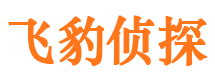 冕宁飞豹私家侦探公司